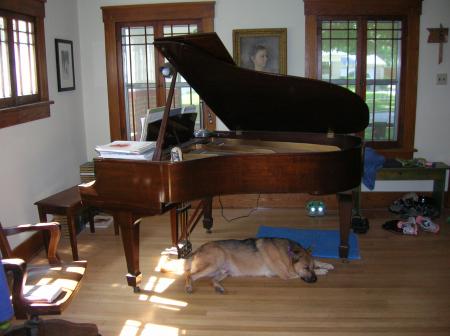 Hugo under the piano