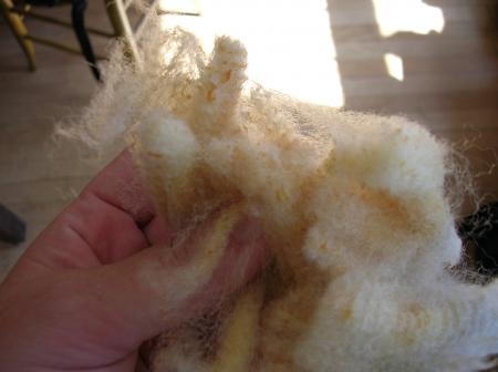 closeup raw lamb's wool