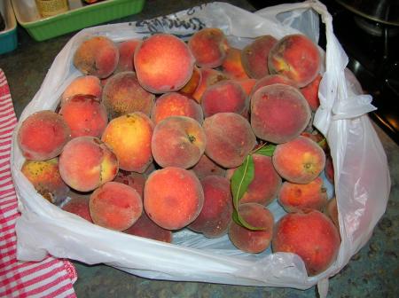 local peaches