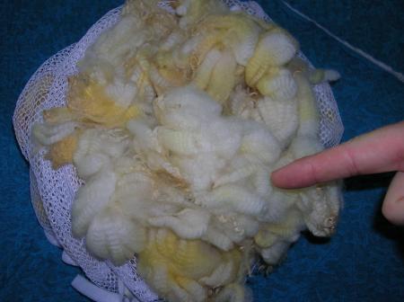 washed lamb's wool