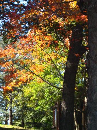 IMG_22051.JPG