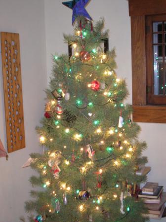 Christmas tree 12-5-06