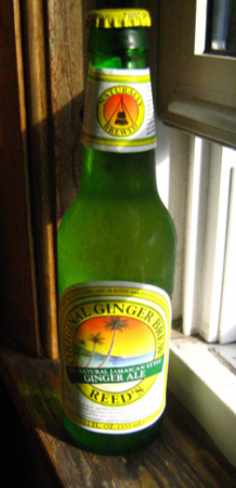 naturalgingerale.png