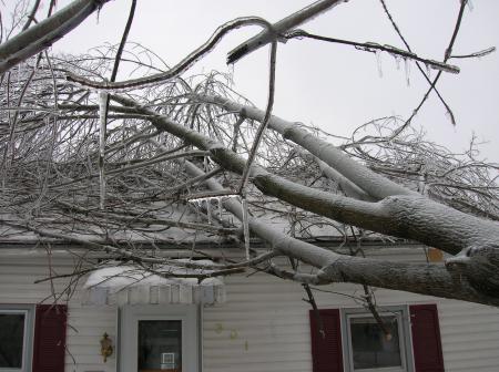 ice storm 12-07