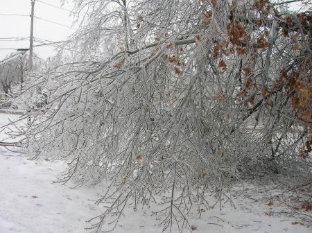 ice storm 12-07