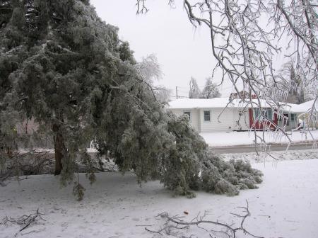 ice storm 12-07