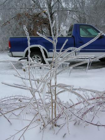 ice storm 12-07